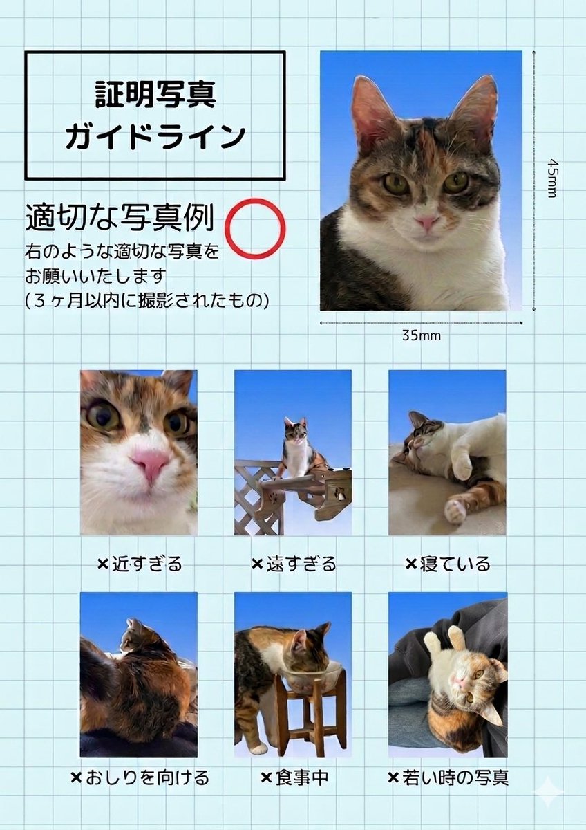 愛おしすぎる、、