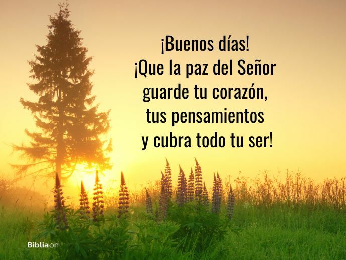 chicofran tweet media