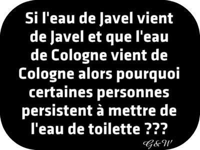 Oiseau blessé🐦 tweet media