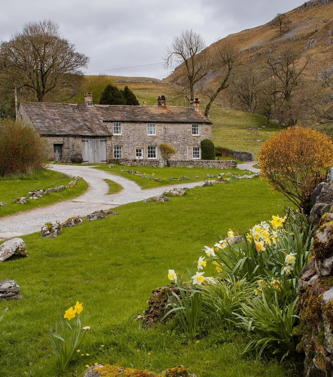 North Yorkshire tweet media