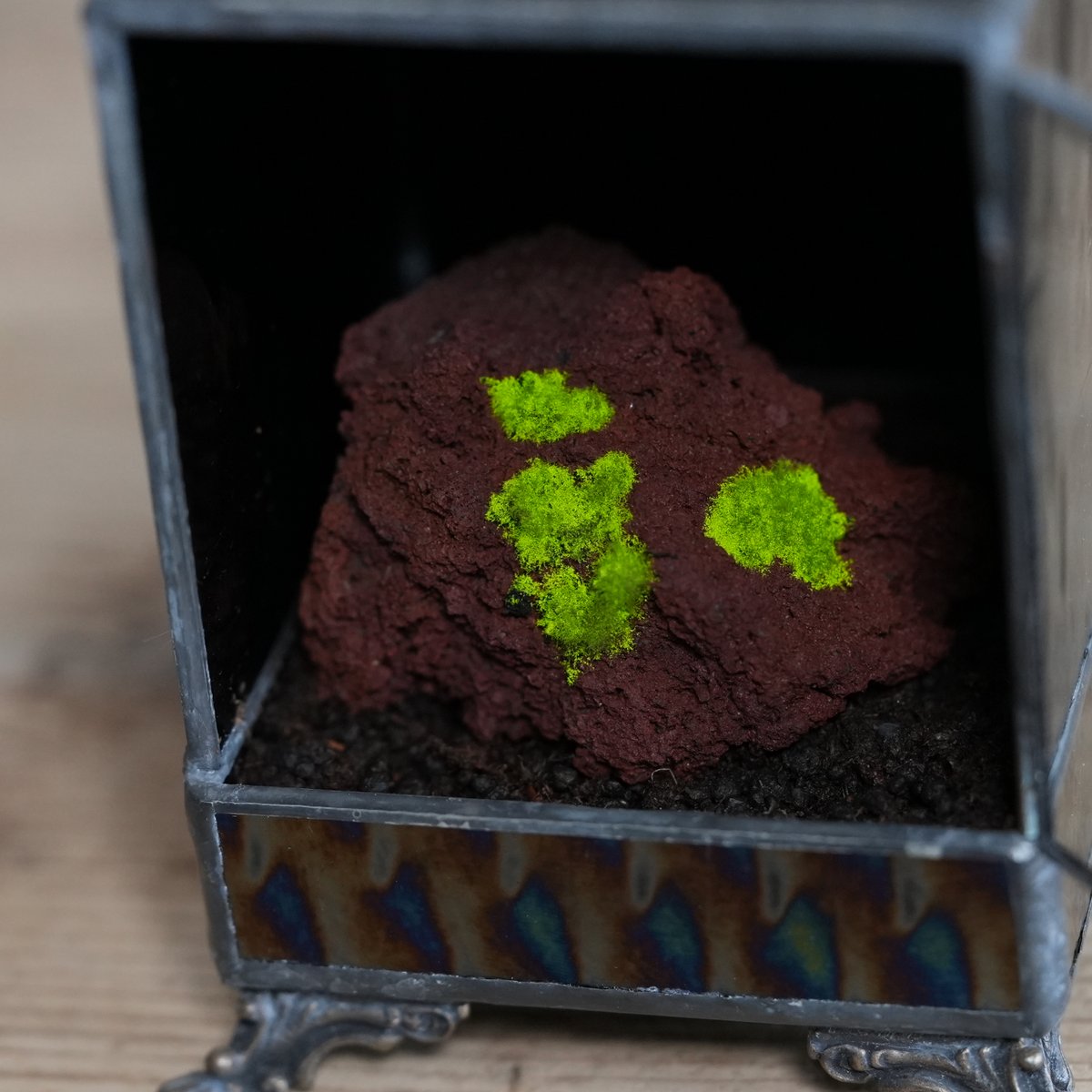 道草 michikusa tweet media