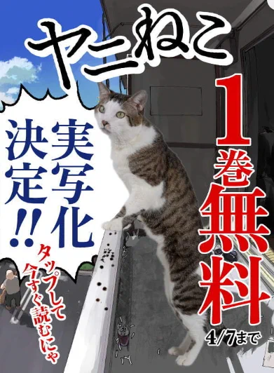 ヤニねこ」TVアニメ公式 on X: 