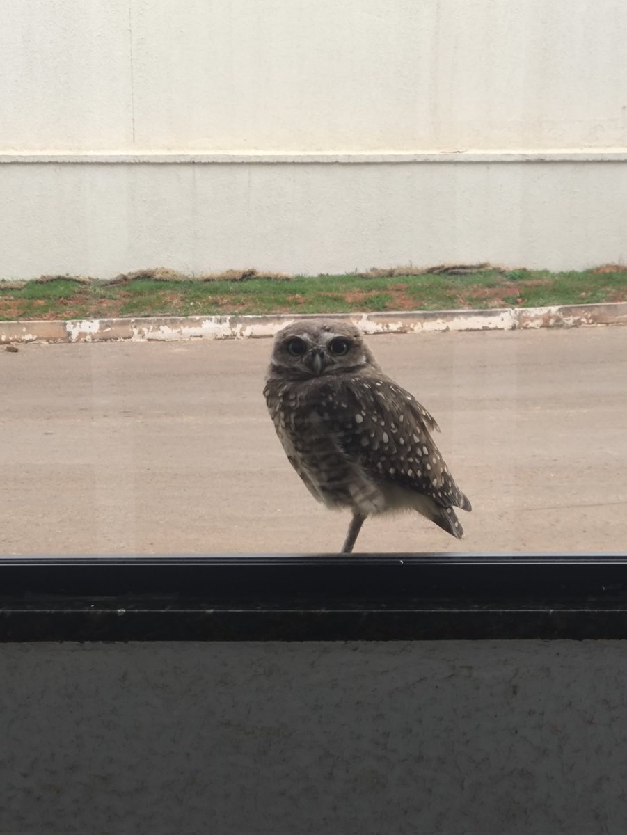 Rymmon 💻 tweet media