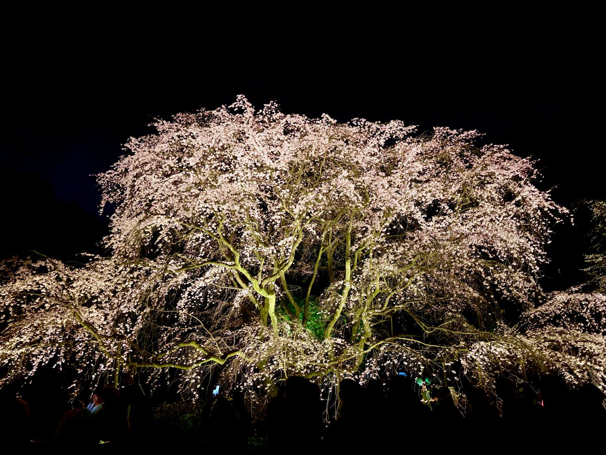 ライフマップ【公式】 tweet media