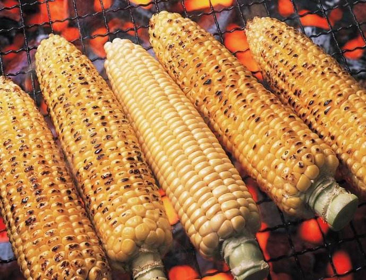 giulietta capici tweet media