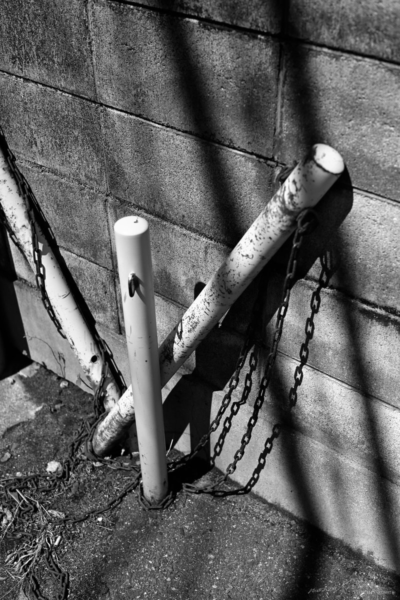 monoXron tweet media