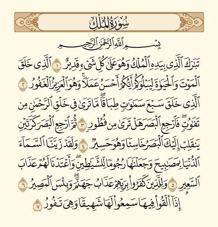 Voices from paradise tweet media