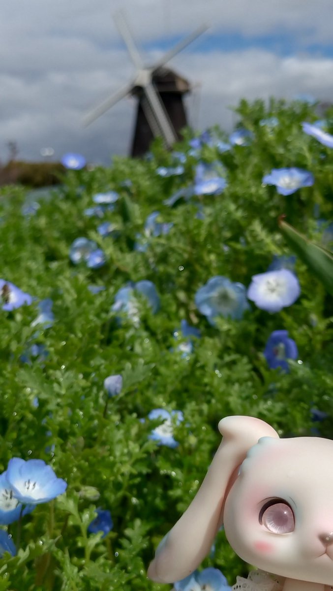 yui-kazano tweet media