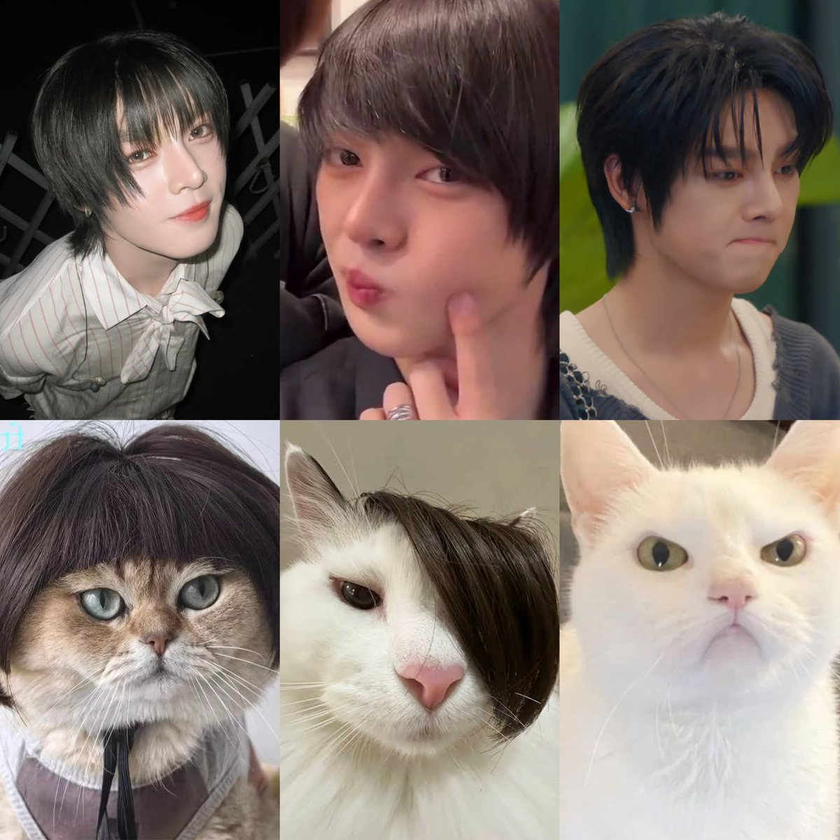 🎀เซียอิสแฮปปี้🐈‍⬛🤍 tweet media