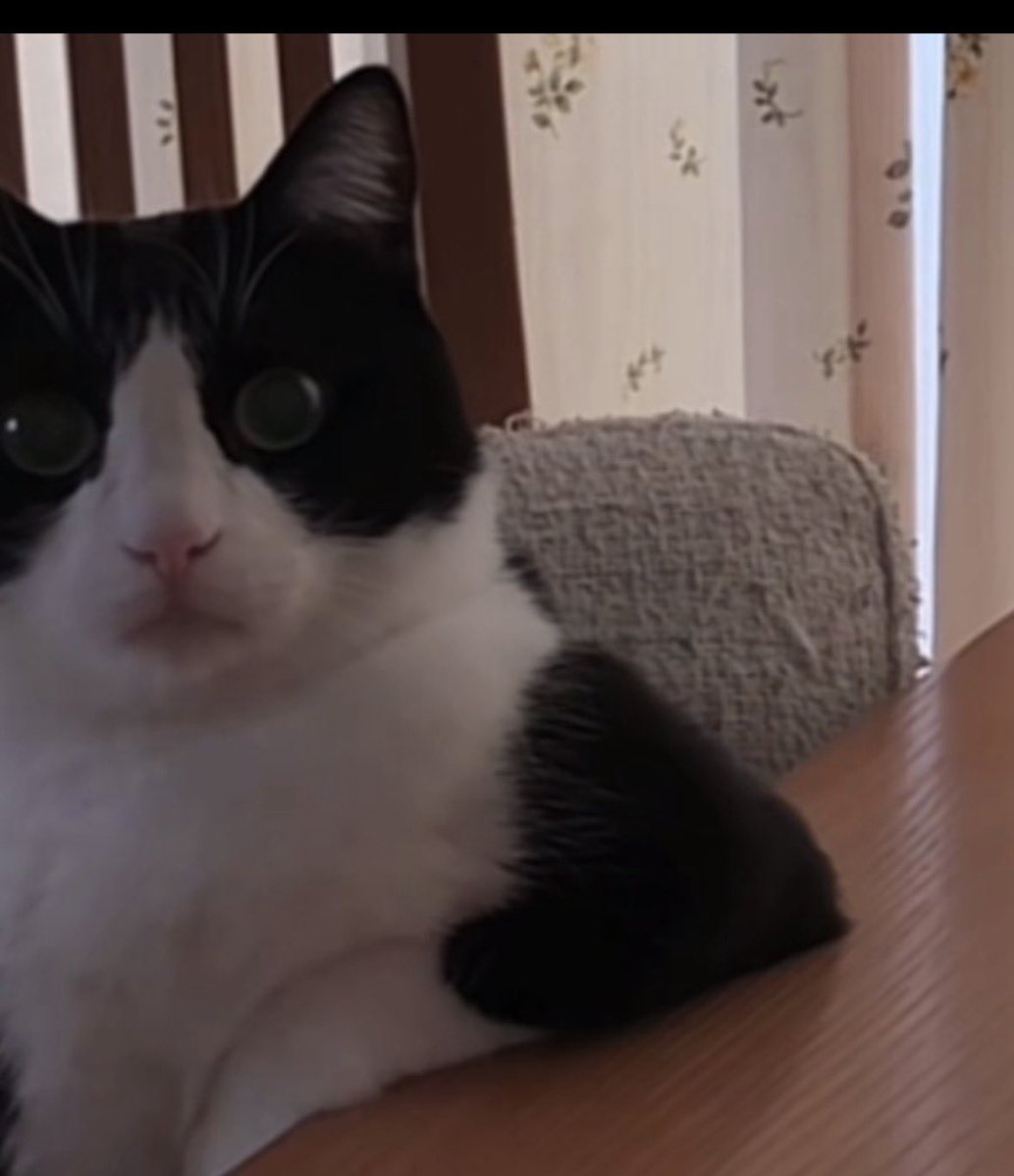 Je dois faire Paris - Djerba en voiture…