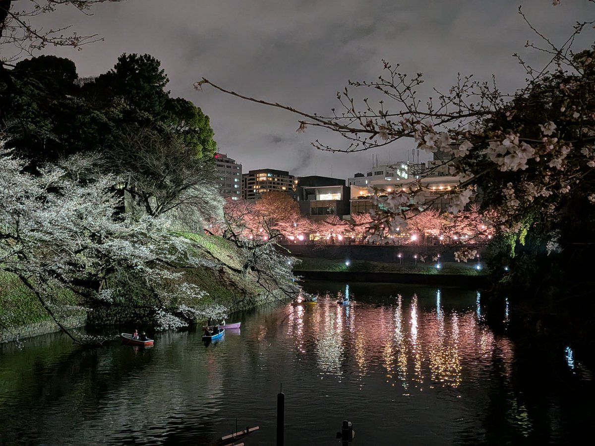 hidesato205's tweet photo. 靖国神社夜桜詣と千鳥ヶ淵ライトアップが始まりました。明日も夕方から雨ですが、日曜には満開🌸 https://t.co/NTxQEFqUYd