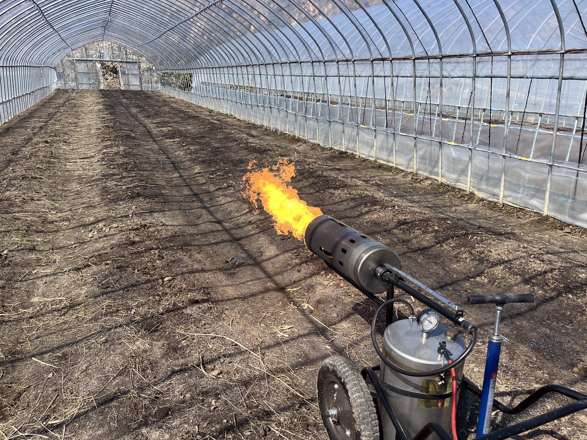 オジファーム ~アスパラガス~ tweet media