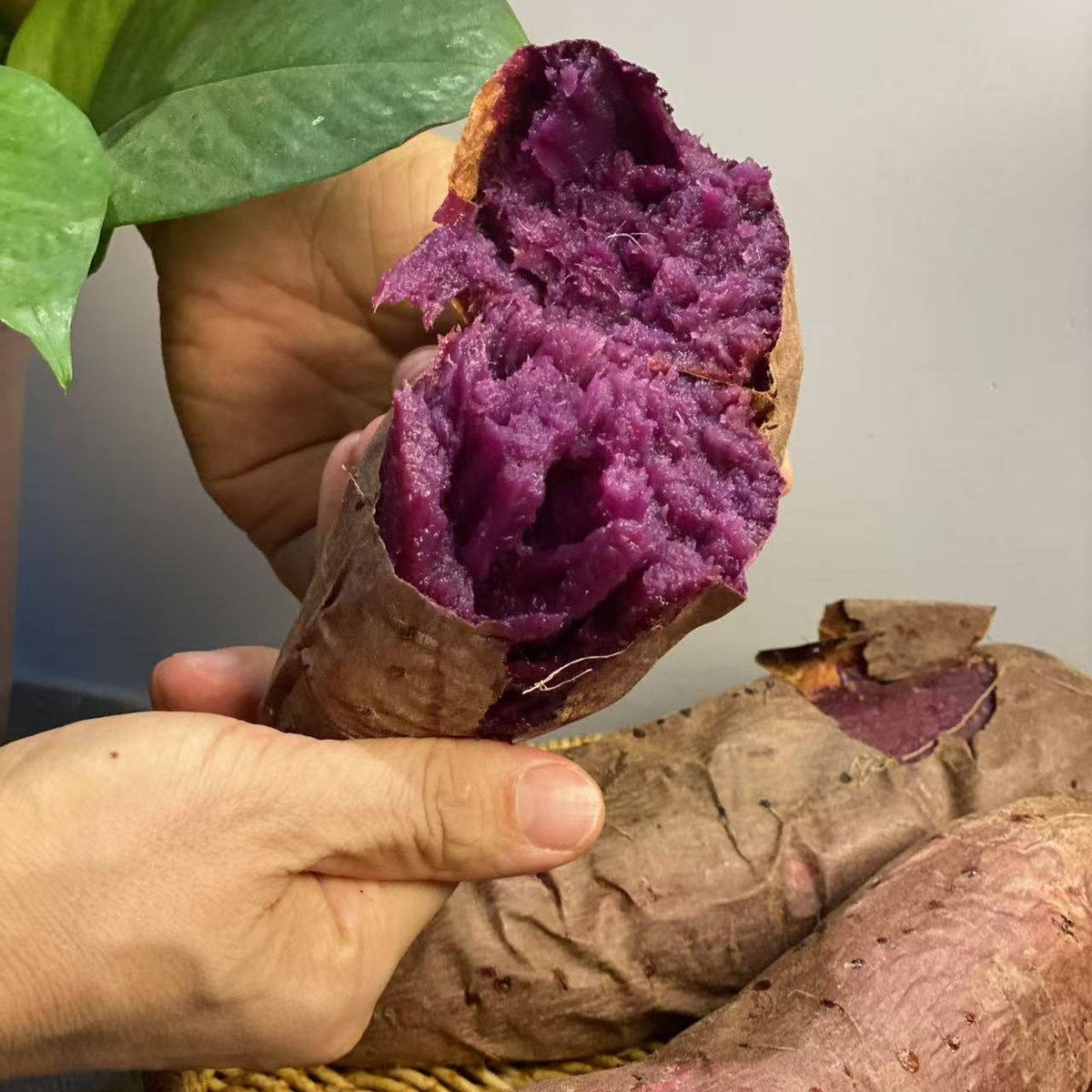 Mayde.life tweet media