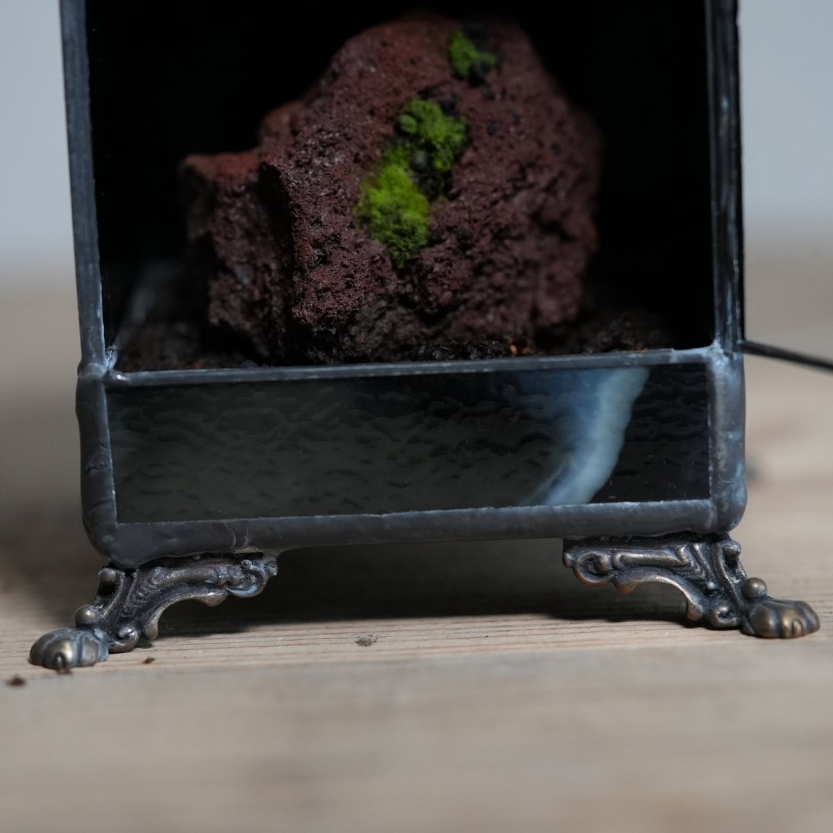 道草 michikusa tweet media