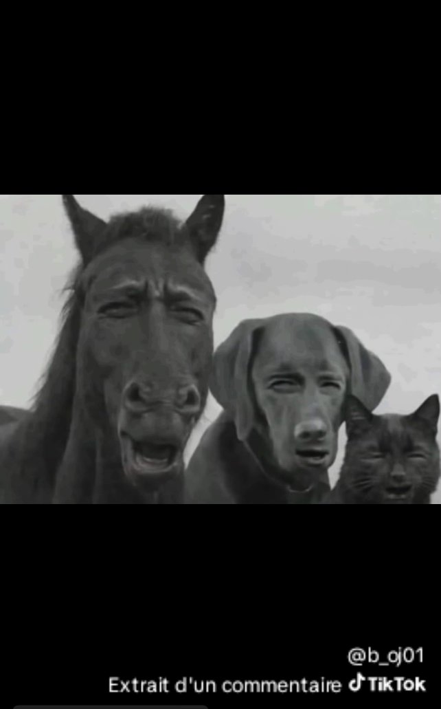 PATROUILLEUR 🇧🇫❤️🇨🇮 tweet media