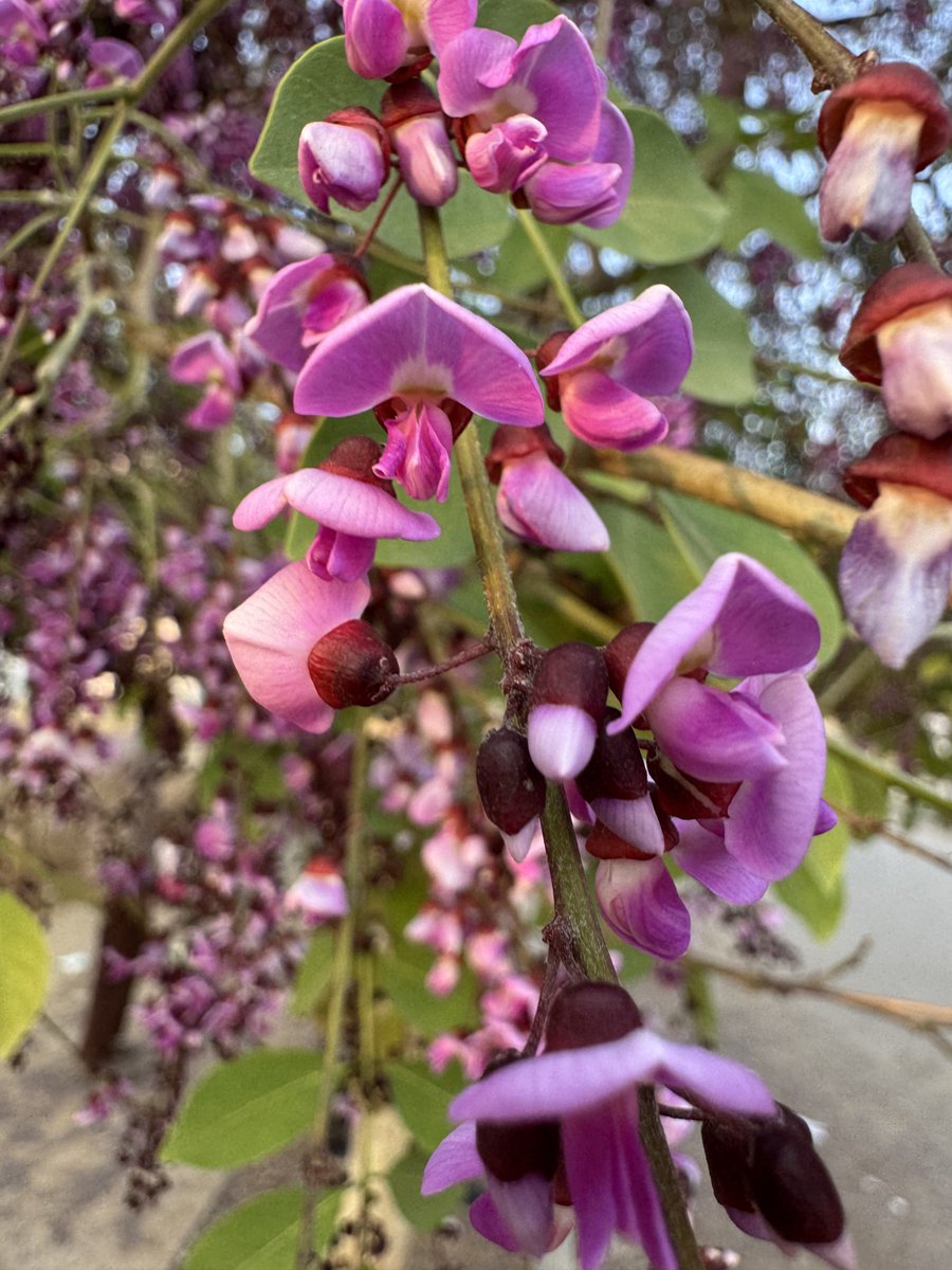 Mohit Mehta tweet media