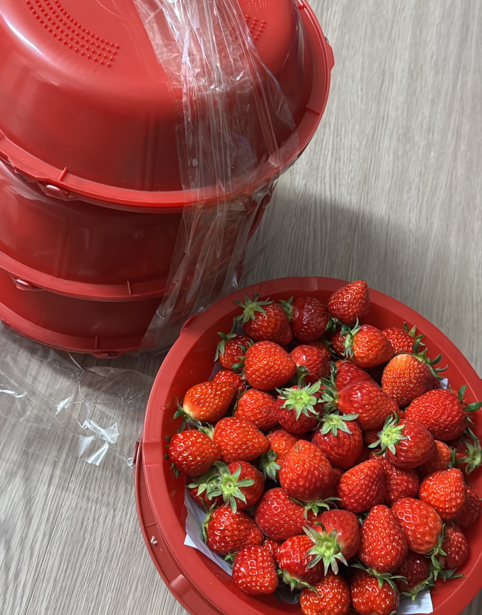 배춘식 tweet media