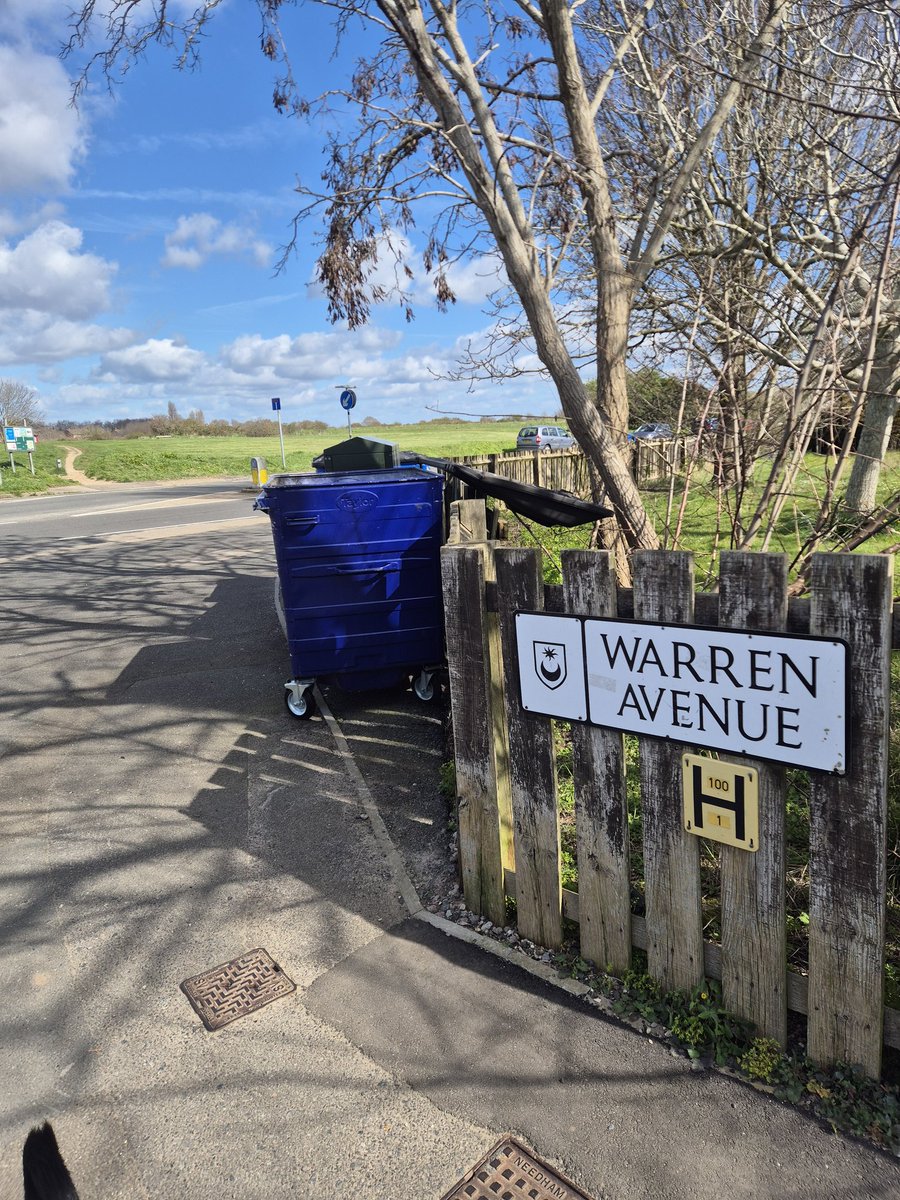 Matthew James tweet media