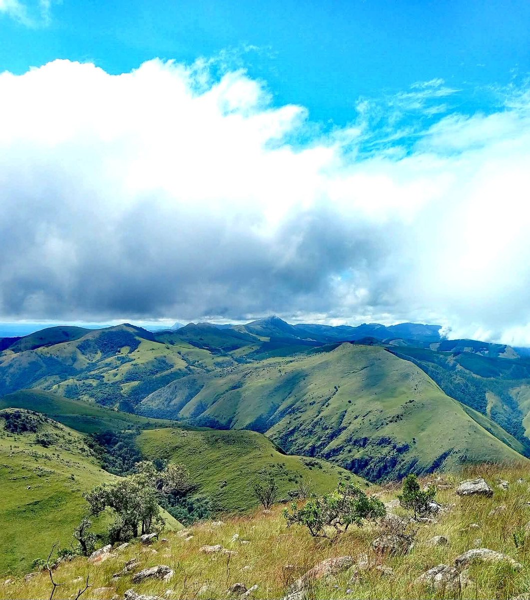 🇸🇿Buhle bakaNgwane, Buhle beMaswati🇸🇿 tweet media