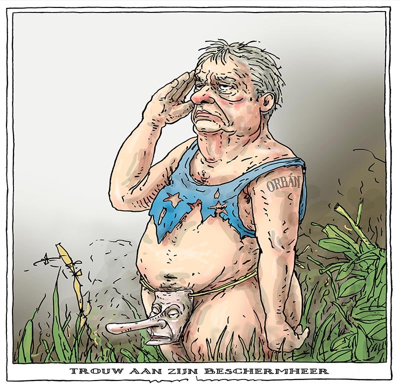 Joep Bertrams tweet media