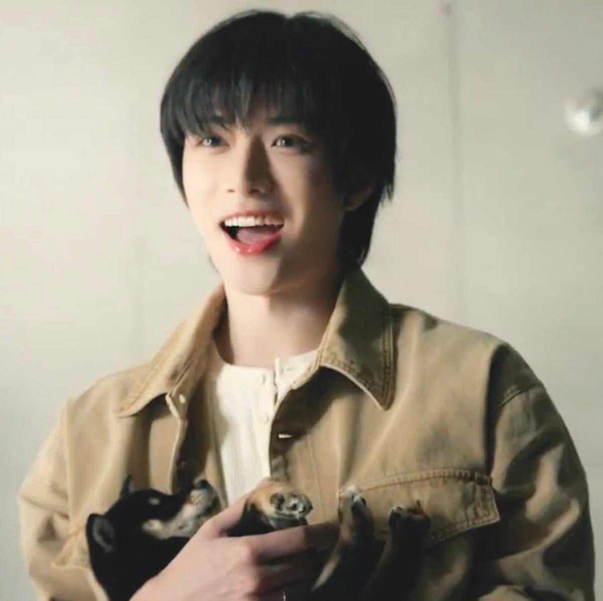 강아지가 강아지를 안고 있네