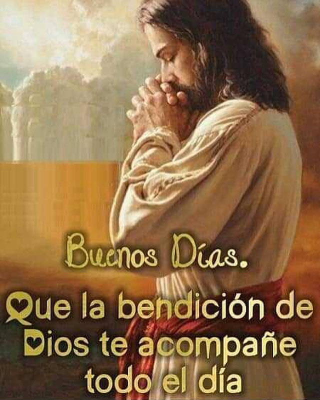 Luis Hernández A. tweet media