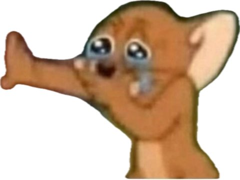 🐦 ⚡️ maeva : Birdflash lover ⚡️🐦 tweet media