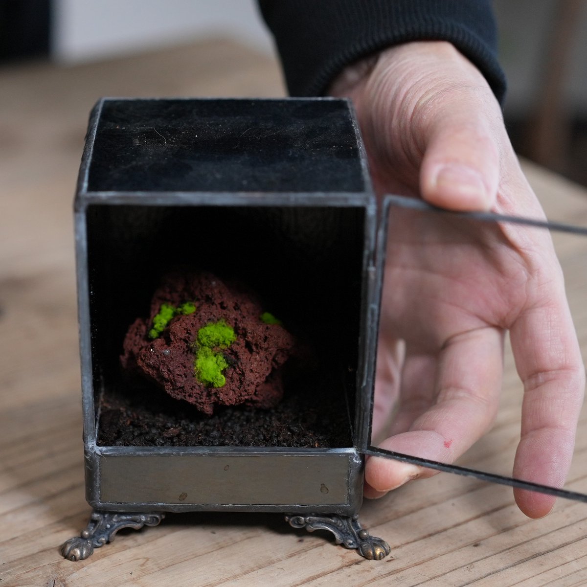 道草 michikusa tweet media