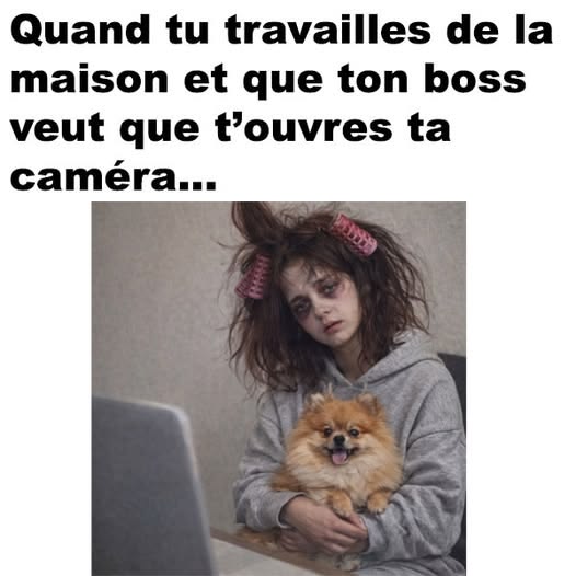 Oiseau blessé🐦 tweet media