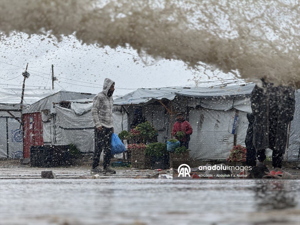 عبدالله العطار abdallah alattar tweet media