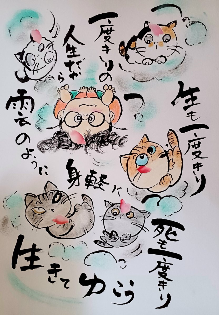 老(=^・・^=)と婆ぁの生活 tweet media