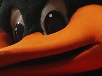 Orioles Fanz Thoughts tweet media