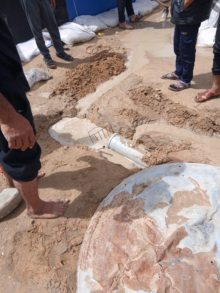 Cat lover tweet media