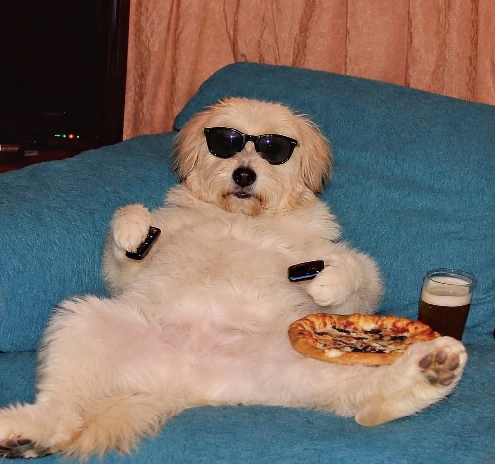 챱츄♡꙼̈ tweet media