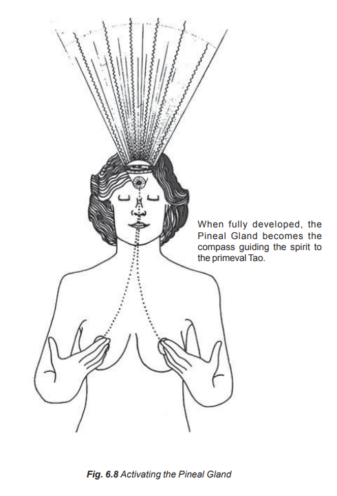 Actual Sex tweet media