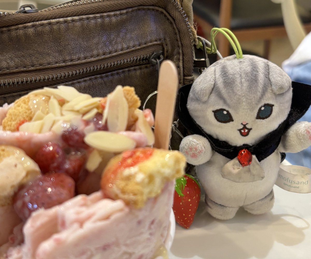 homodeviI's tweet image. rio was #Out today