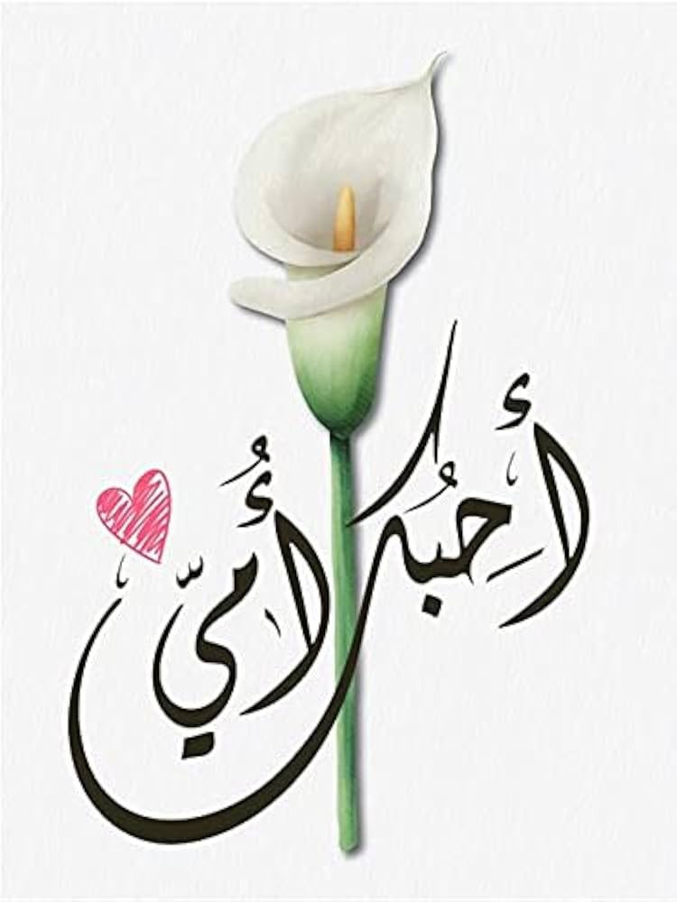 جورية الباحة tweet media