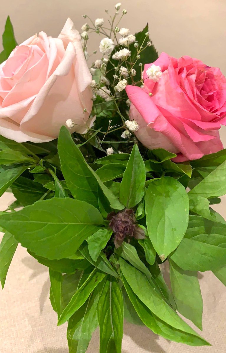 جورية الباحة tweet media