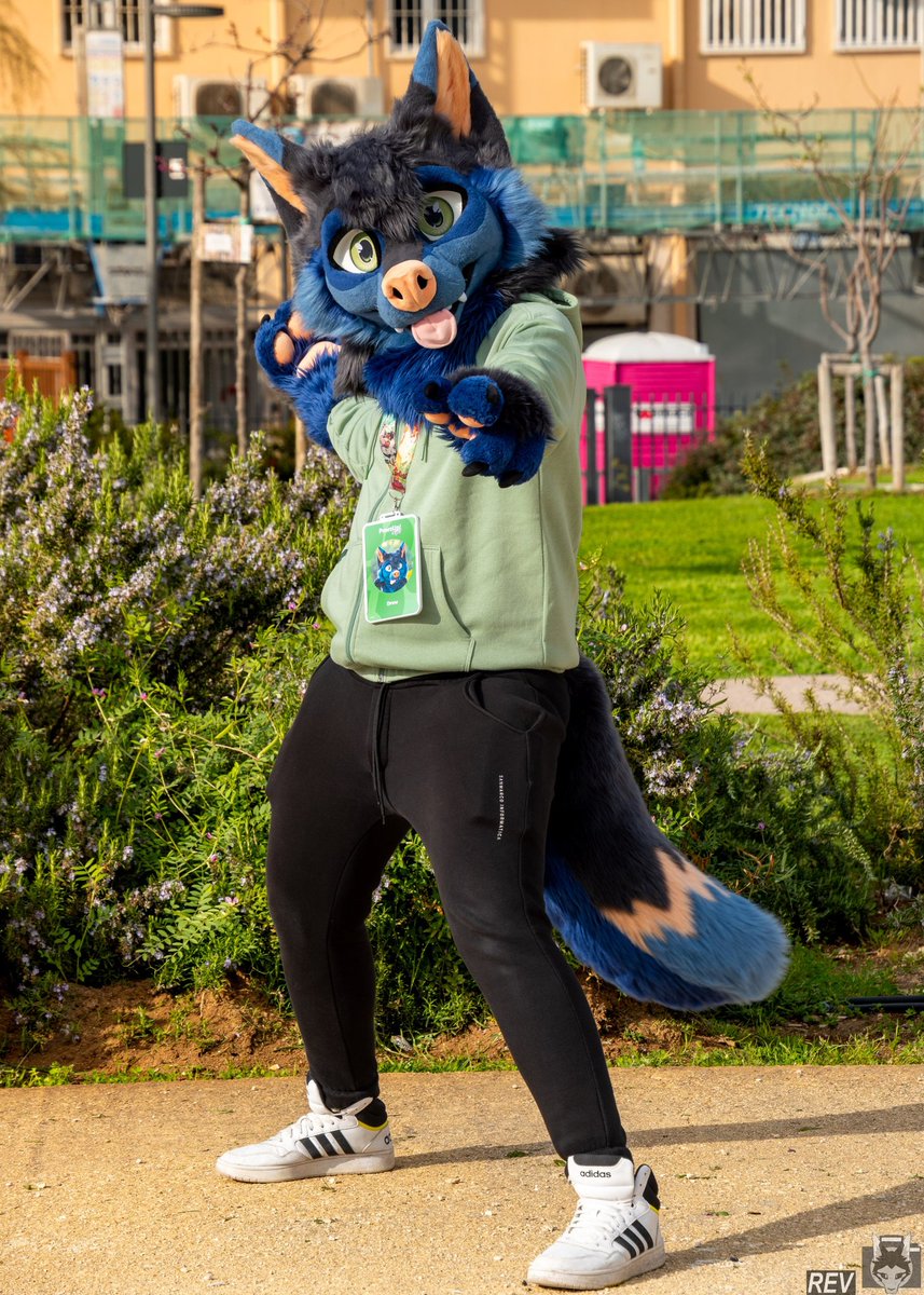 Drew 🔜 FZ 🇮🇹 tweet media