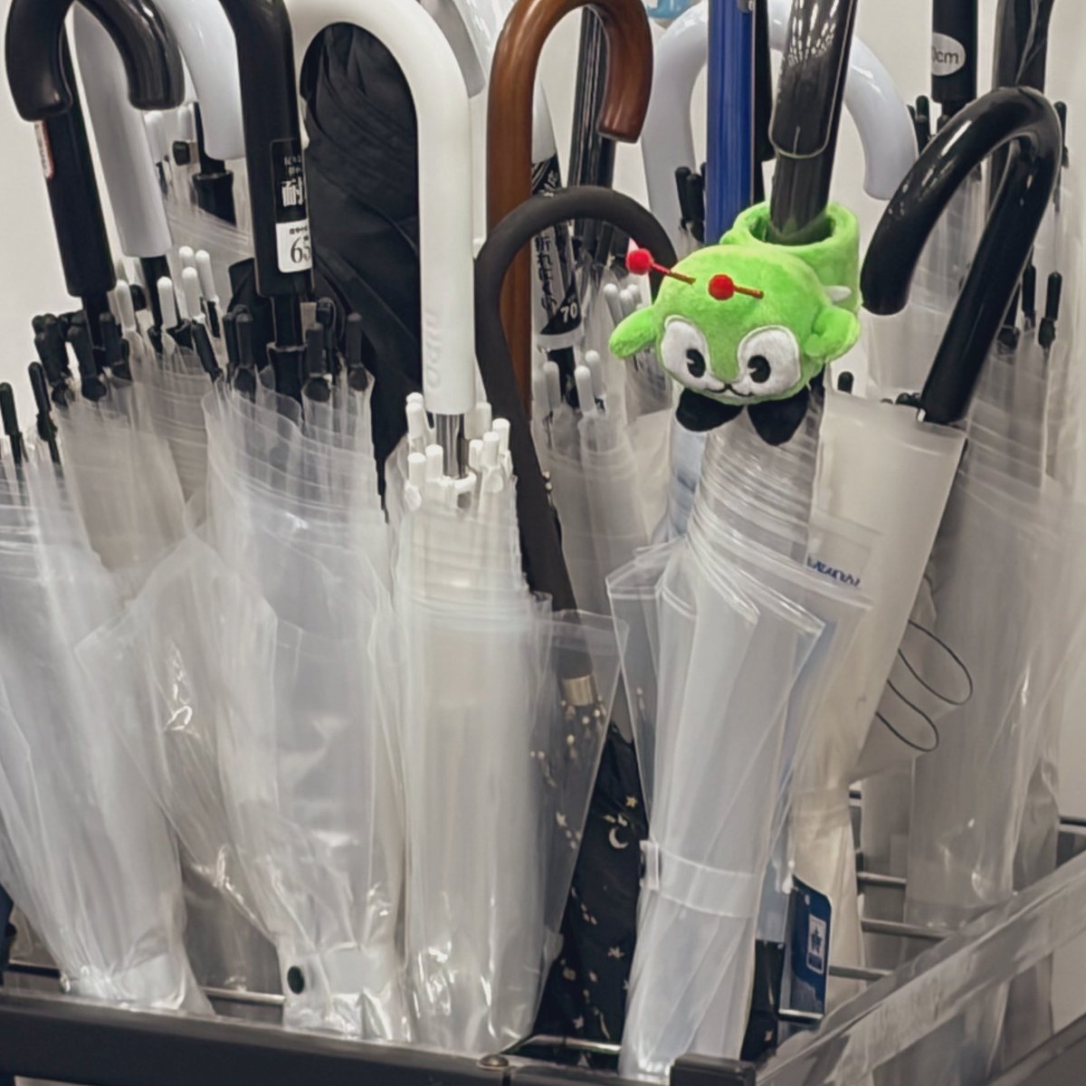 ( 📍.  ̫ . 📍)☂️