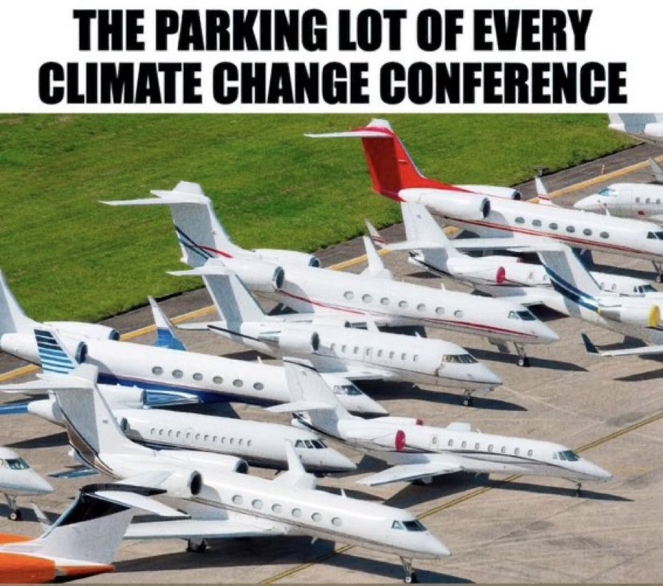 GnosisWolf tweet media