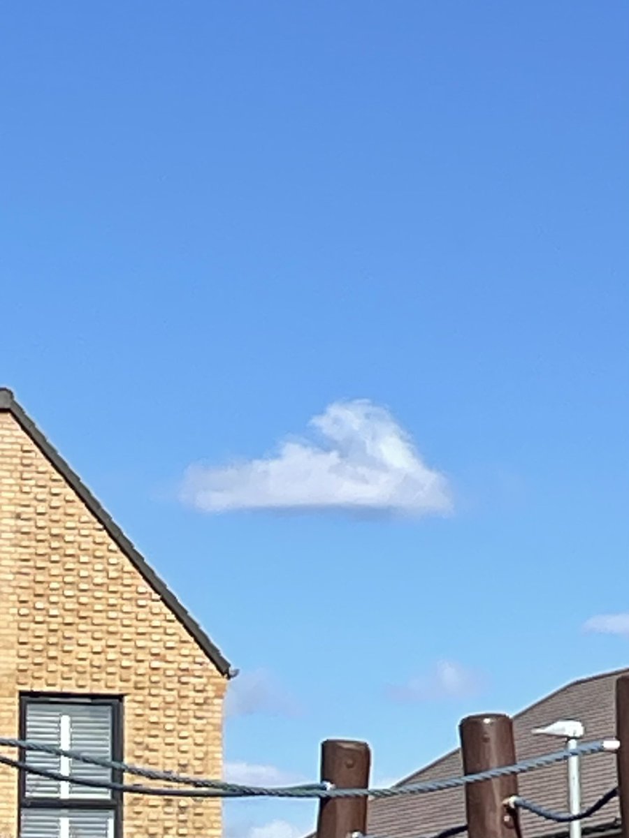 Code Clearance Blue tweet media