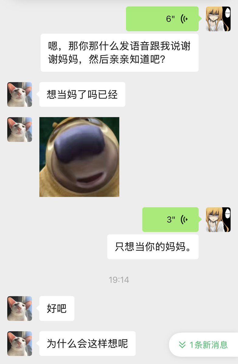 不要被人发现 tweet media