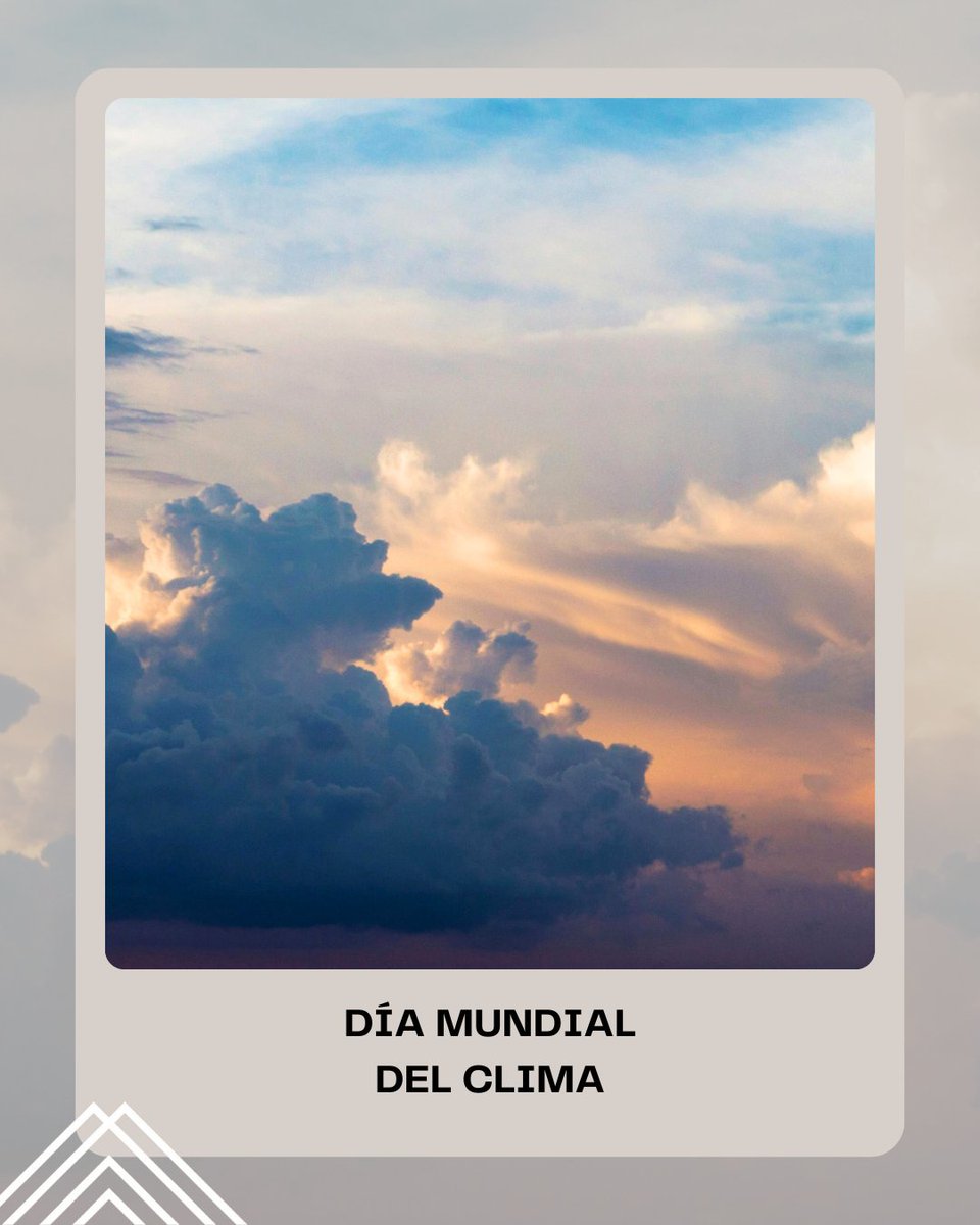 Los Cerros tweet media