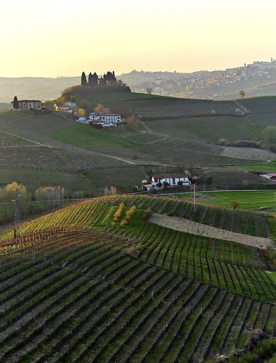 orebla  tweet media