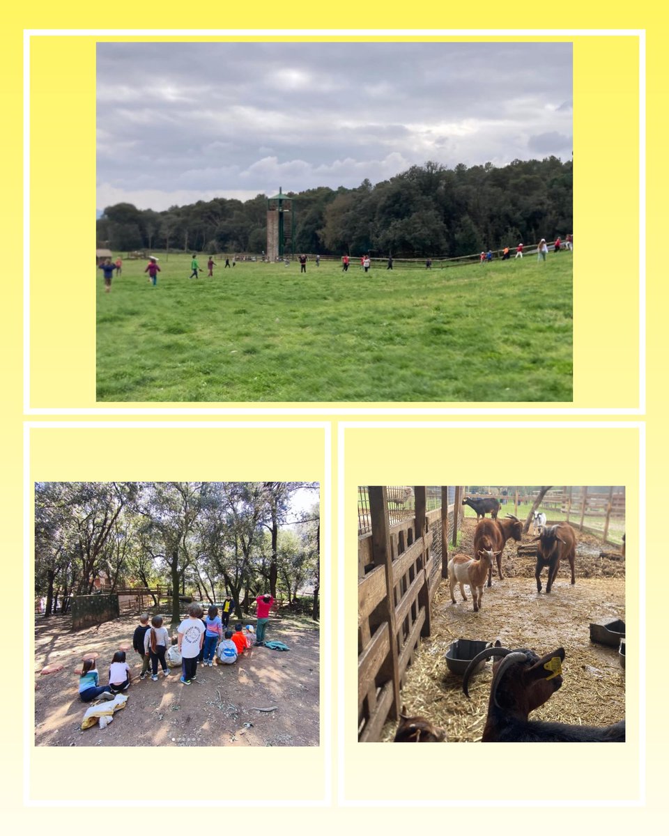 Tot@SomMaragall tweet media