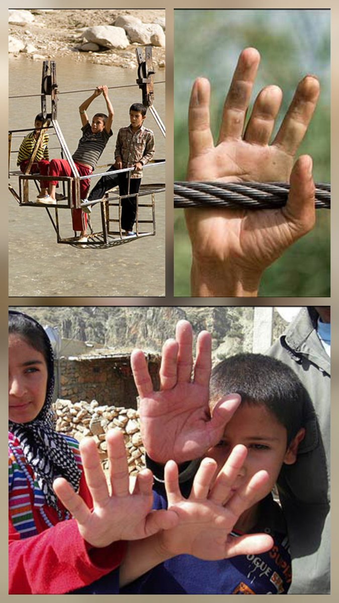 کنجکاو کمحوصله tweet media