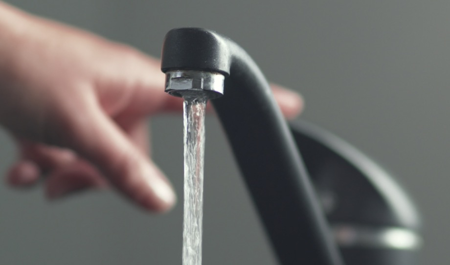 Scheveningen Daily tweet media