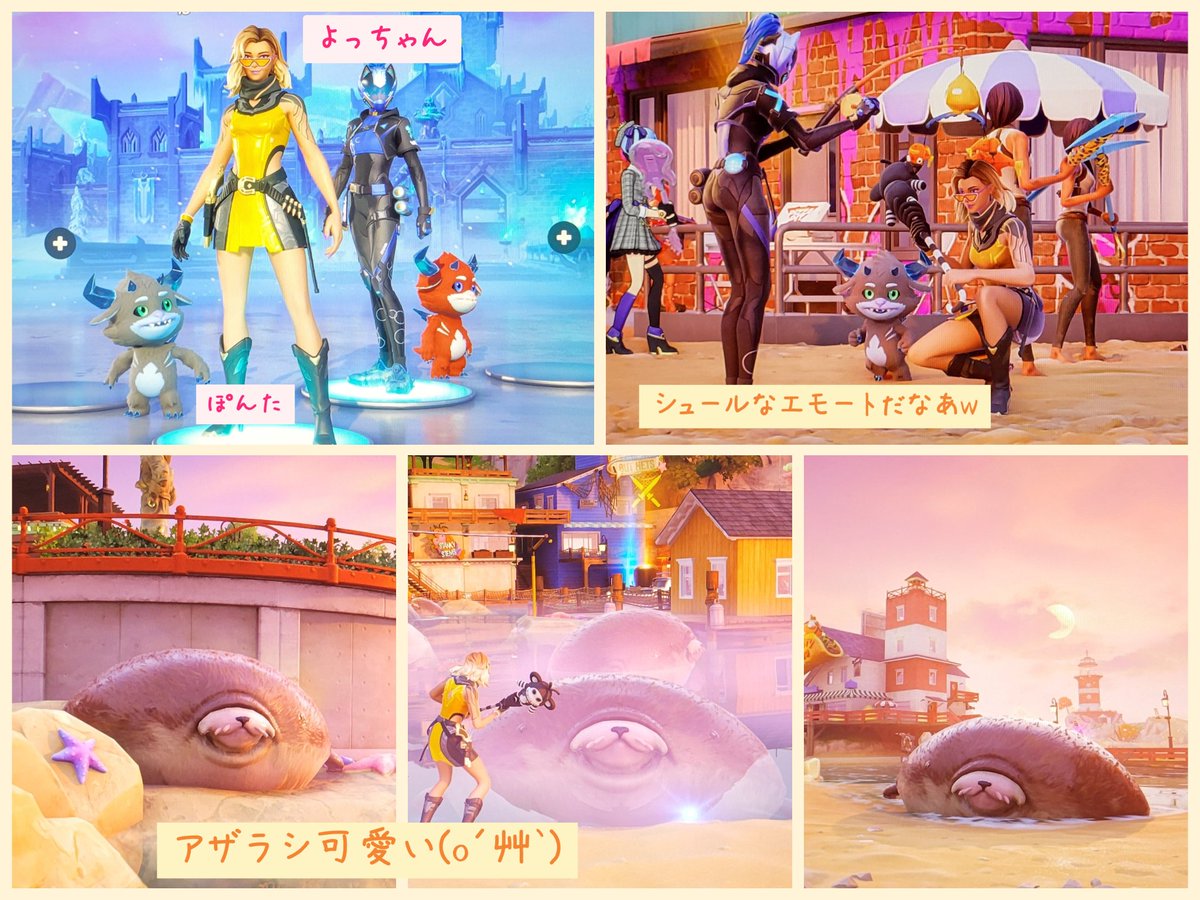 ころころポン太🏡 tweet media