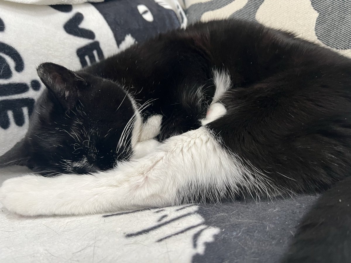 Rachel Corsini tweet media